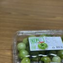 레플REPL