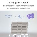 로이레트니