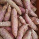 맛있기로 유명한 해남 밤고구마 판매해요. 이미지