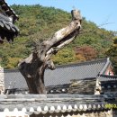 내곡3리 이미지