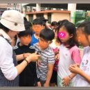 석전초등학교 이미지