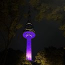해금전자 티스토리