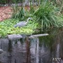 상동도서관 이미지