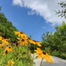 정선통나무펜션 이미지