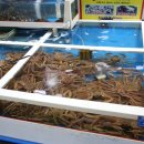 동남식당 이미지