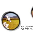 밤두둑마을 이미지