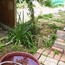 박곡농장 이미지