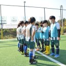 스토피아아카데미