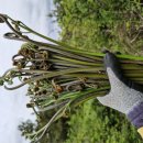 금당목장 이미지