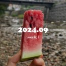 [#폴라의이중생활] 2024.09 - week 1