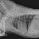 으뜸원동물병원 이미지