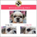 해운대 플러스동물병원 이미지