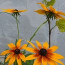 해찬민박 이미지