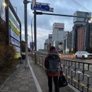 태기산 설산 등산후기(2024.12.25)