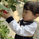 코리농장 이미지