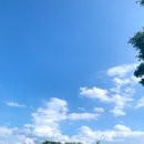 영남외과연합의원 이미지