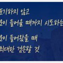 호원태권도장 이미지