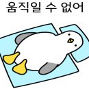 치킨신드롬전포점