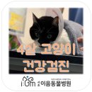 서초이음동물병원 이미지