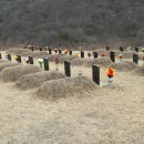 순천시립 공원묘지 이미지