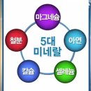 유황 F&S 이미지
