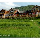 물소리새소리펜션 이미지