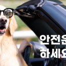 청신호카써비스 이미지