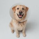 베이지동물병원 이미지