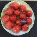 노아시스템(주) | [대전] 성심당DCC점 오픈런 후기 (말차시루, 천혜향롤, 김치주먹밥 등)