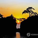 일출로2 이미지