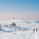 한라산 - 강서구 | 한라산