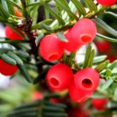 건강한진수성찬 이미지