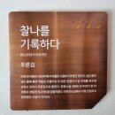 창정리 | 봉평 메밀꽃필 무렵 &amp; 장전이끼 계곡(2024.9.16)