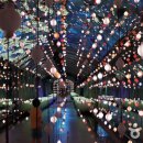 단양-단양-01 이미지