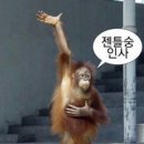 금동봉자순대국밥 이미지