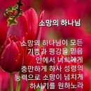 무등식육식당 이미지