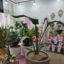 하트니플라워아트 이미지