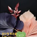 행운을드립니다 이미지