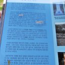 봉양1통 이미지