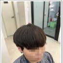 에스헤어다즐 이미지