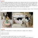 댕댕스토리 이미지