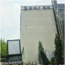 파티오 키친 | 안양결혼식장뷔페메뉴 단독홀 하객시선 방문후기&식사 퀄리티 범계역 파티오벨라