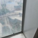 신화하니엘타워(신화하니엘오피스텔) | 부산해운대구 신화하니엘타워오피스텔원룸 입주청소후기 고객이 만족하는 청소업체는 클린노블