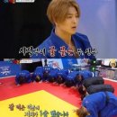 조타