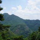 금성산(金城山530m).영니산(盈尼山502m).비봉산(飛鳳山671m)/경북의성 이미지