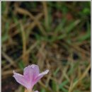 남해설레임 이미지