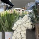 23-거창버스터미널 부근 | [고터 꽃시장] 촬영 부케 고터에서 셀프 만들기, 쥬리원예 후기