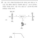 2024 27 이미지