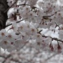 연지공원1 이미지