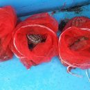 완도화목식품 이미지